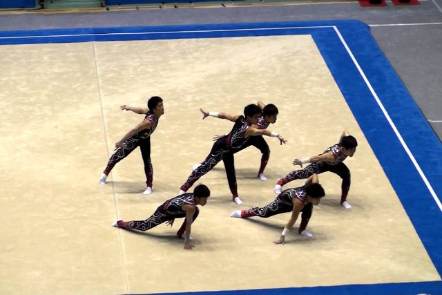  uma verdadeira pena que a ginstica rtmica masculina no seja um esporte olmpico