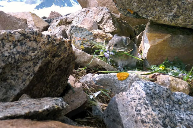 Os 3 melhores indicadores de como voc envelhecer bem 