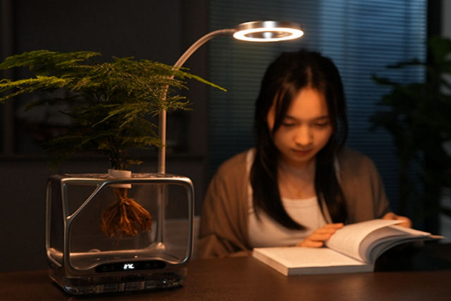 Vaso aerop�nico permite o cultivo de plantas no ar, sem terra ou �gua