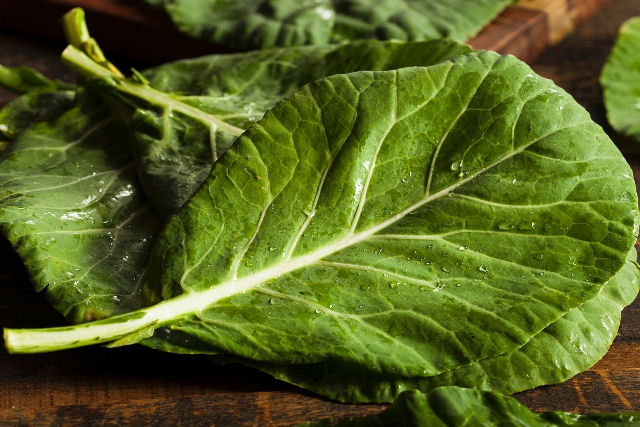 Por que a couve � um dos alimentos mais diversificados do mundo?