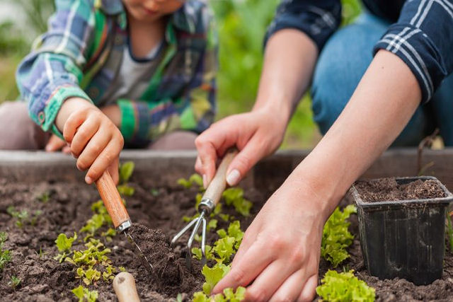 Os v�deos curtos avacalharam totalmente a forma como vemos v�deos na internet
