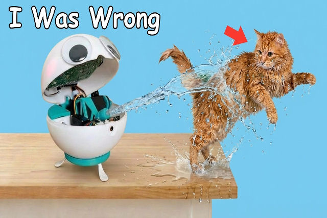 Youtuber cria um rob� para controlar seu gato enxerido 