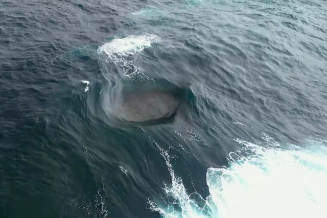 O umbigo da Terra: a onda mais bizarra do oceano