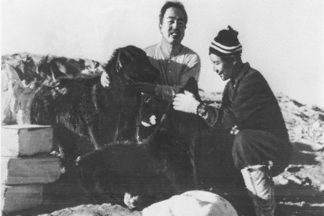 A inacredit�vel hist�ria de sobreviv�ncia polar de Jiro e Taro