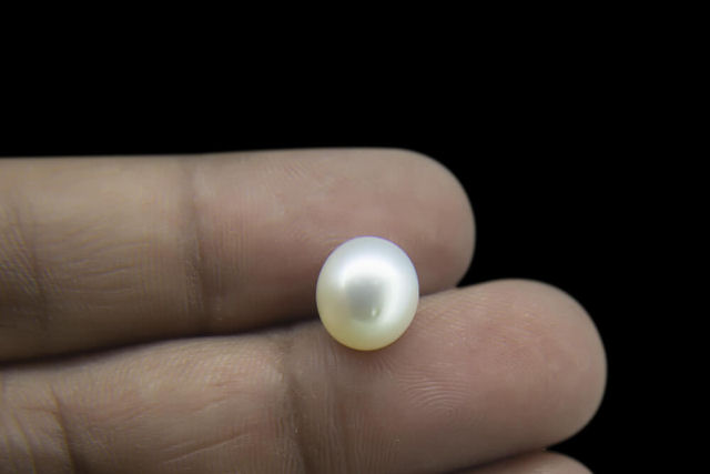 Por que as p�rolas do Mar do Sul s�o t�o valiosas?