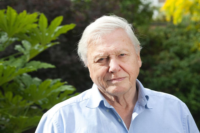 Sir David Attenborough completar� 1 s�culo de vida celebrando sua obra que definiu o g�nero