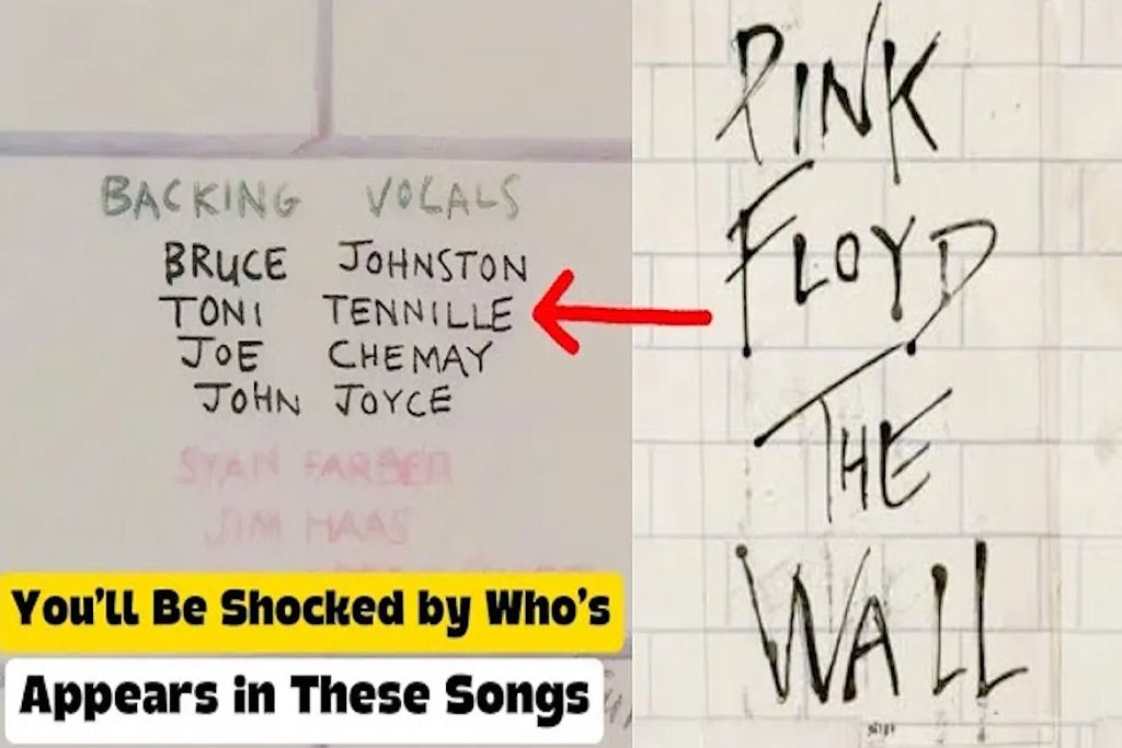 M�sicos famosos que apareceram inesperadamente em m�sicas gravadas por outros famosos