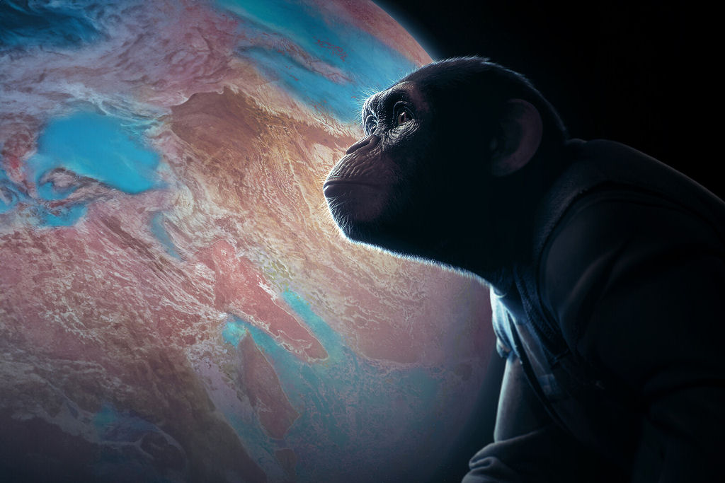No curta 'Hope-65', um chimpanz� explora as estrelas em busca de um novo planeta para a humanidade