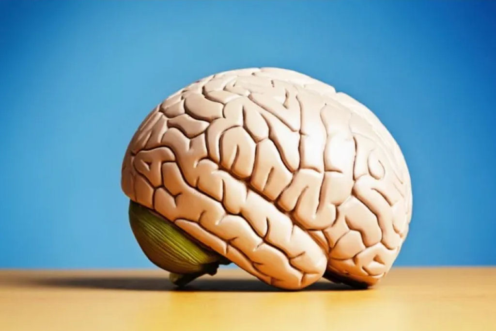 A IA poder� nos ajudar a saber como a mente humana difere da mente animal?