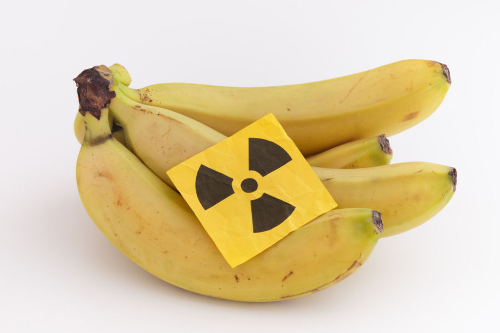 Voc� sabia que as bananas s�o levemente radioativas?