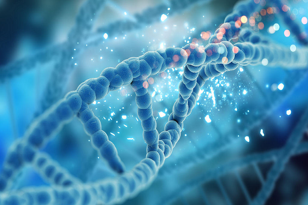 N�o somos �nicos: outras esp�cies humanas moldaram o DNA humano moderno