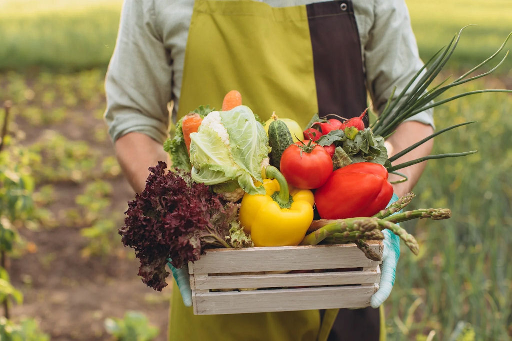 O alimento org�nico � realmente melhor ou s� coisa que colocaram na sua cabe�a?