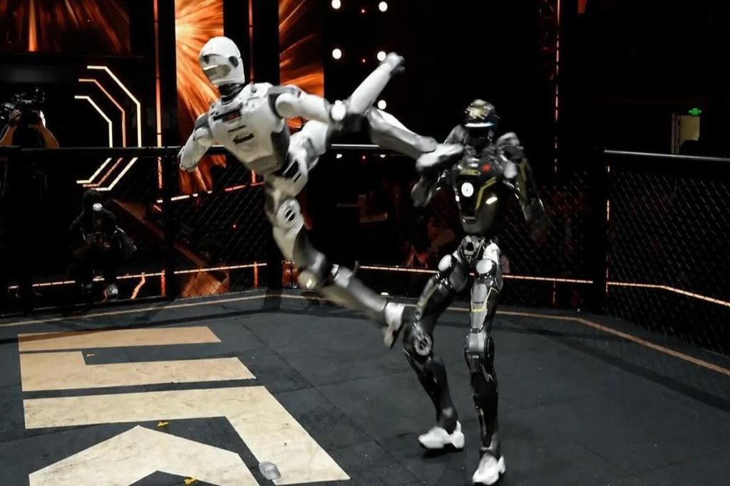 Em luta de MMA com rob�s o vencedor decapita o oponente