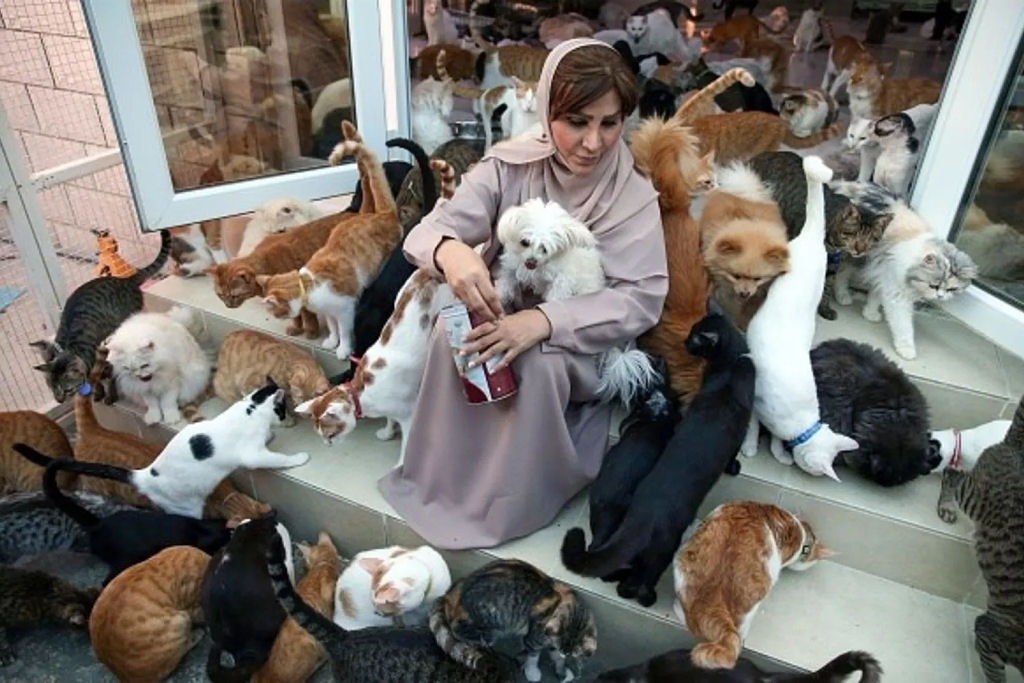 Lei da Atra��o: por que os animais ficam obcecados com certas pessoas?