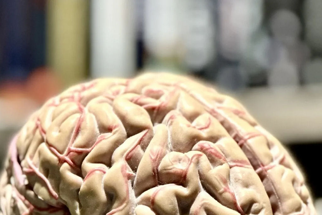 Ser� que a estupidez humana mudar� o mundo como conhecemos?