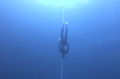 Descida ao abismo: 88 metros no pulmão e sem nadadeiras