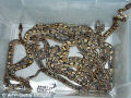 Norueguês e preso com 14 serpentes e 10 lagartixas ocultas sob a roupa