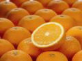 Milhões de metades das laranjas