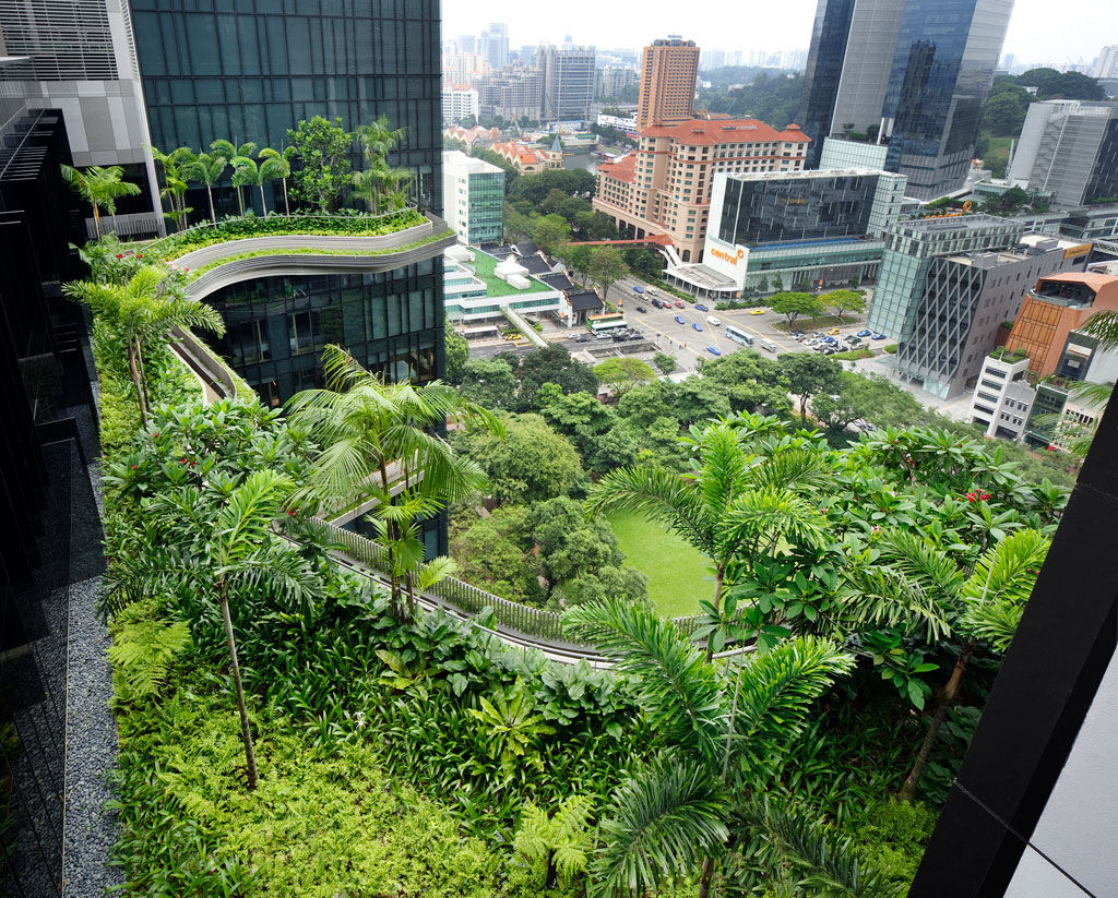 Este hotel em Singapura tem um dos jardins suspensos mais legais do mundo 09