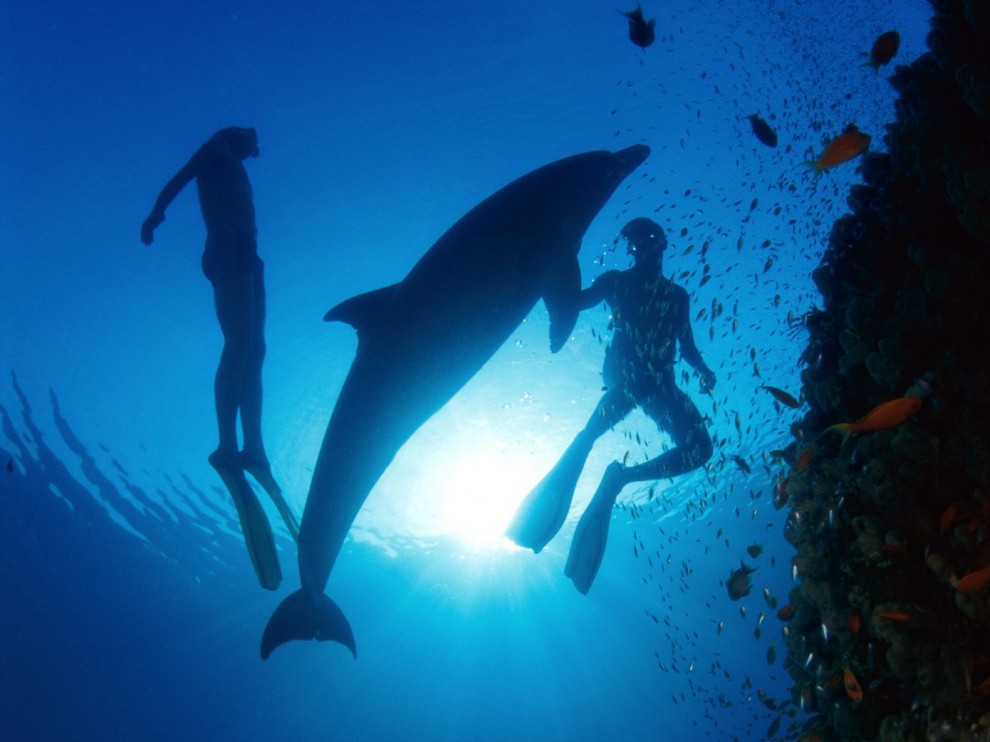 A beleza colorida estontenate do mundo subaqutico 79