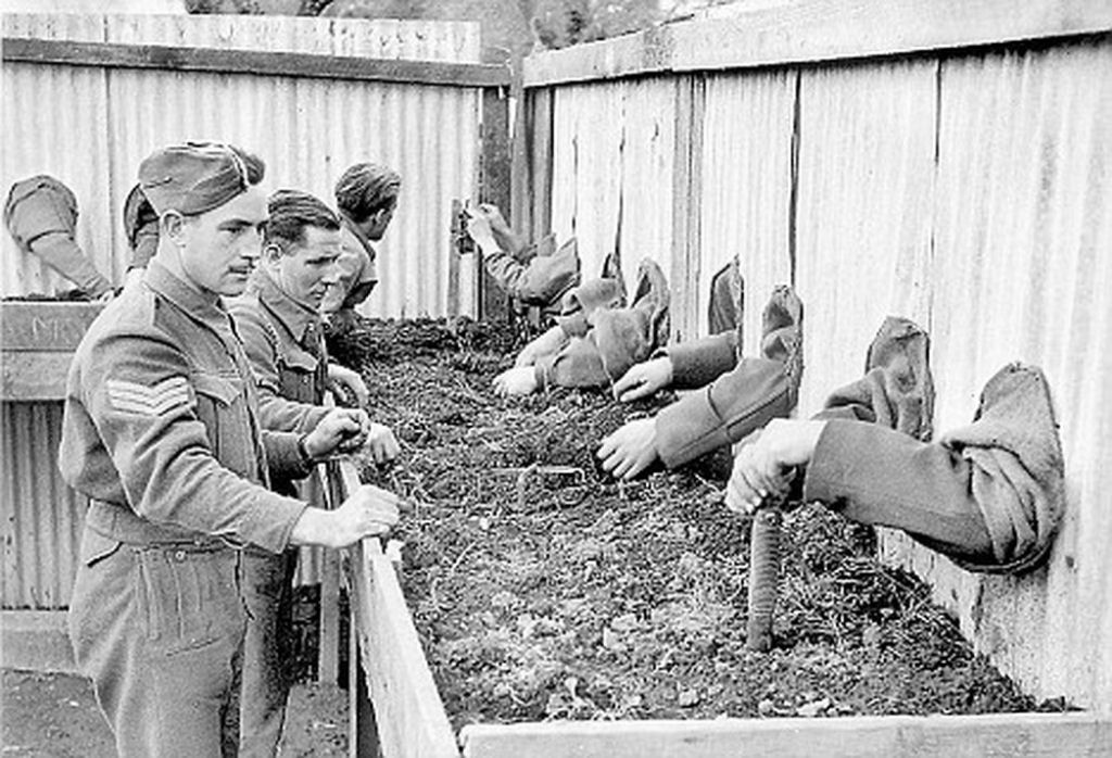 De avies cor-de-rosa a vacas pintadas: o lado estranho da Segunda Guerra Mundial 16