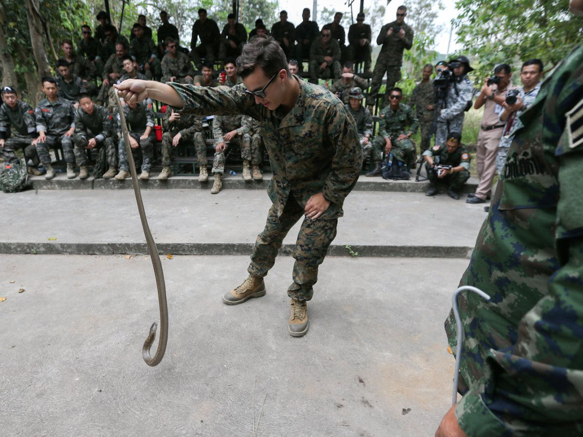 O insano treinamento militar em que os soldados bebem sangue de cobra e comem escorpies 02