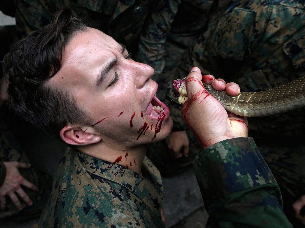 O insano treinamento militar em que os soldados bebem sangue de cobra e comem escorpies 05
