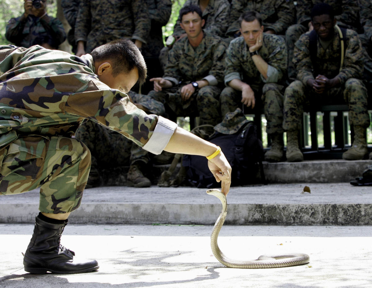 O insano treinamento militar em que os soldados bebem sangue de cobra e comem escorpies 07
