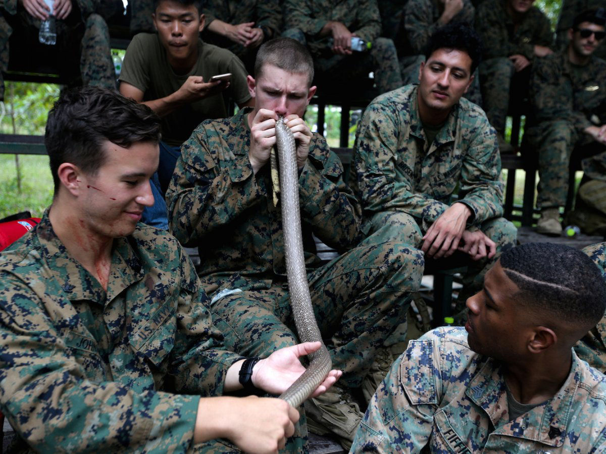 O insano treinamento militar em que os soldados bebem sangue de cobra e comem escorpies 09