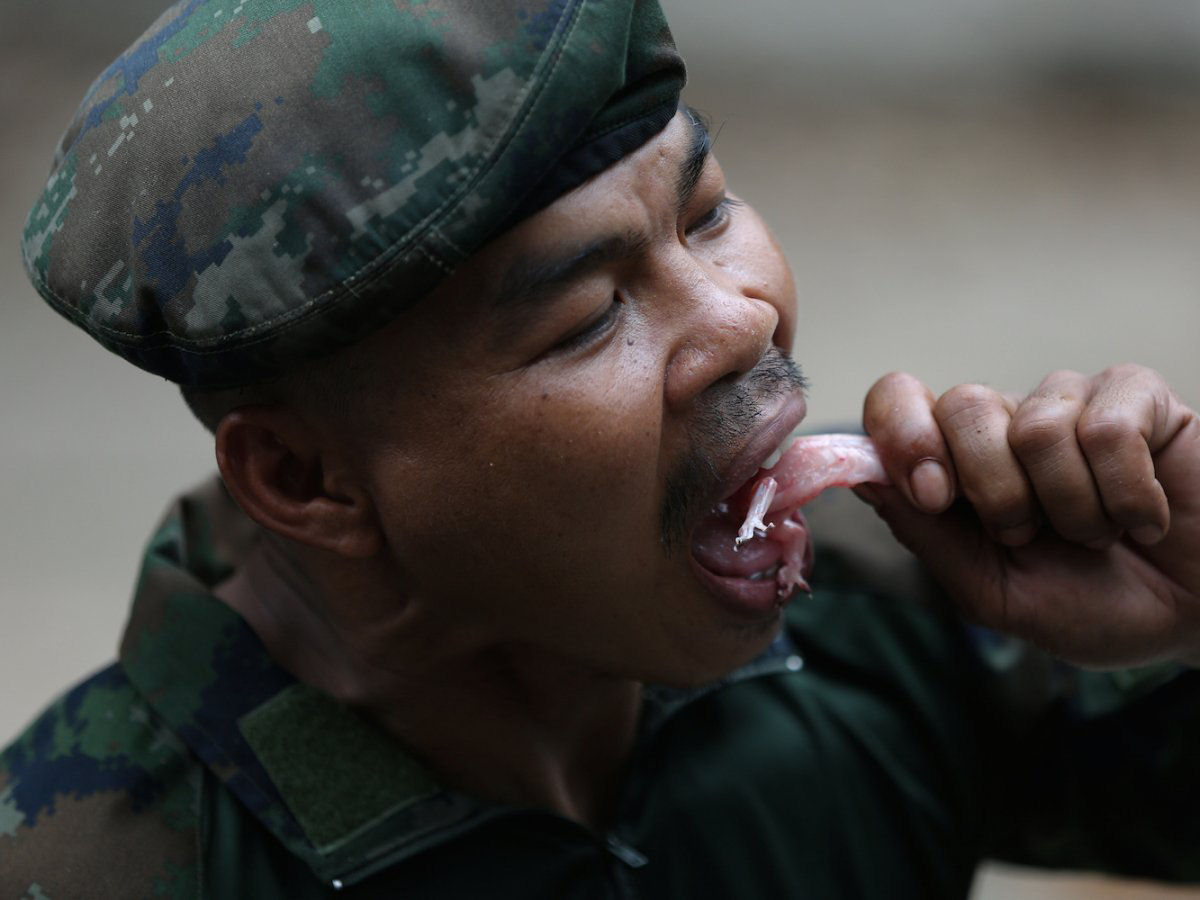 O insano treinamento militar em que os soldados bebem sangue de cobra e comem escorpies 11