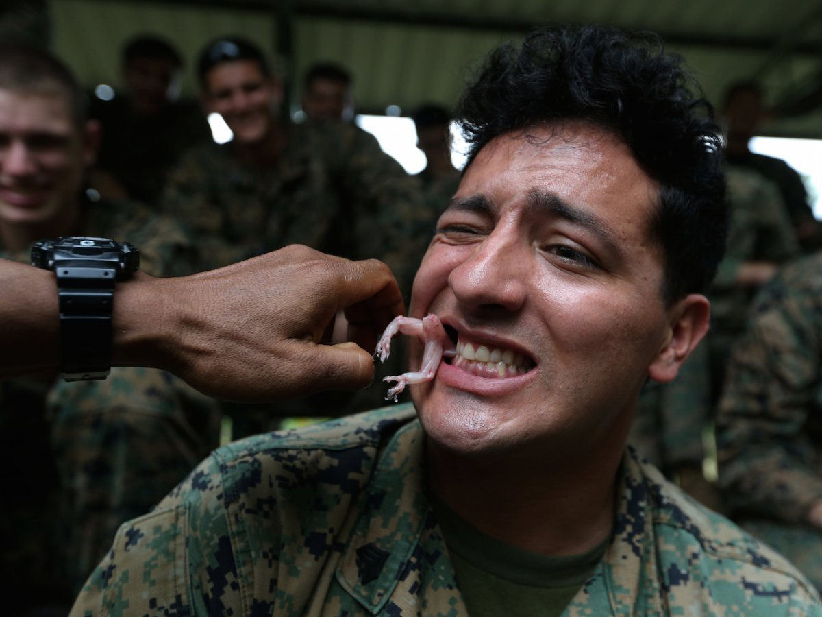 O insano treinamento militar em que os soldados bebem sangue de cobra e comem escorpies 13