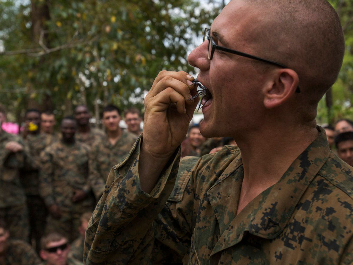 O insano treinamento militar em que os soldados bebem sangue de cobra e comem escorpies 14