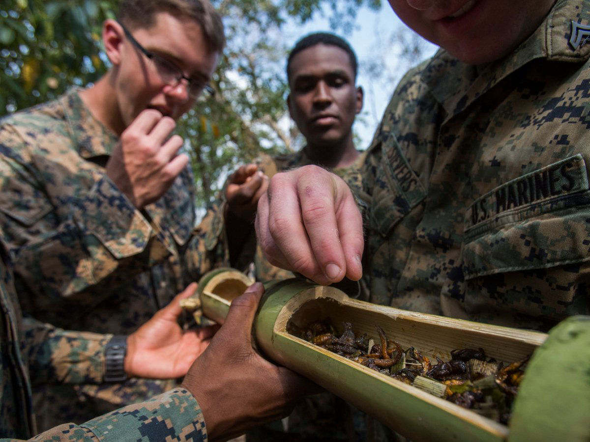 O insano treinamento militar em que os soldados bebem sangue de cobra e comem escorpies 15