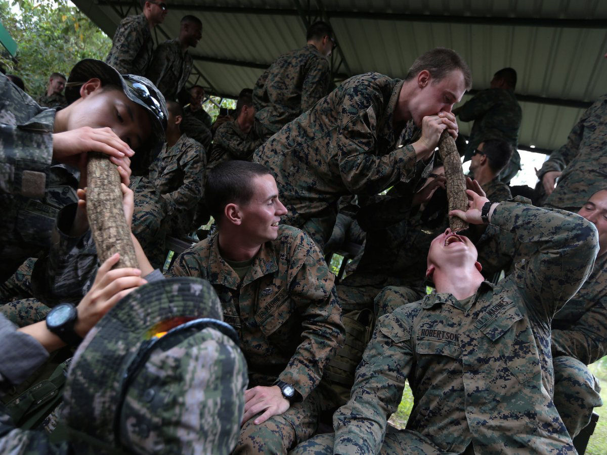 O insano treinamento militar em que os soldados bebem sangue de cobra e comem escorpies 16