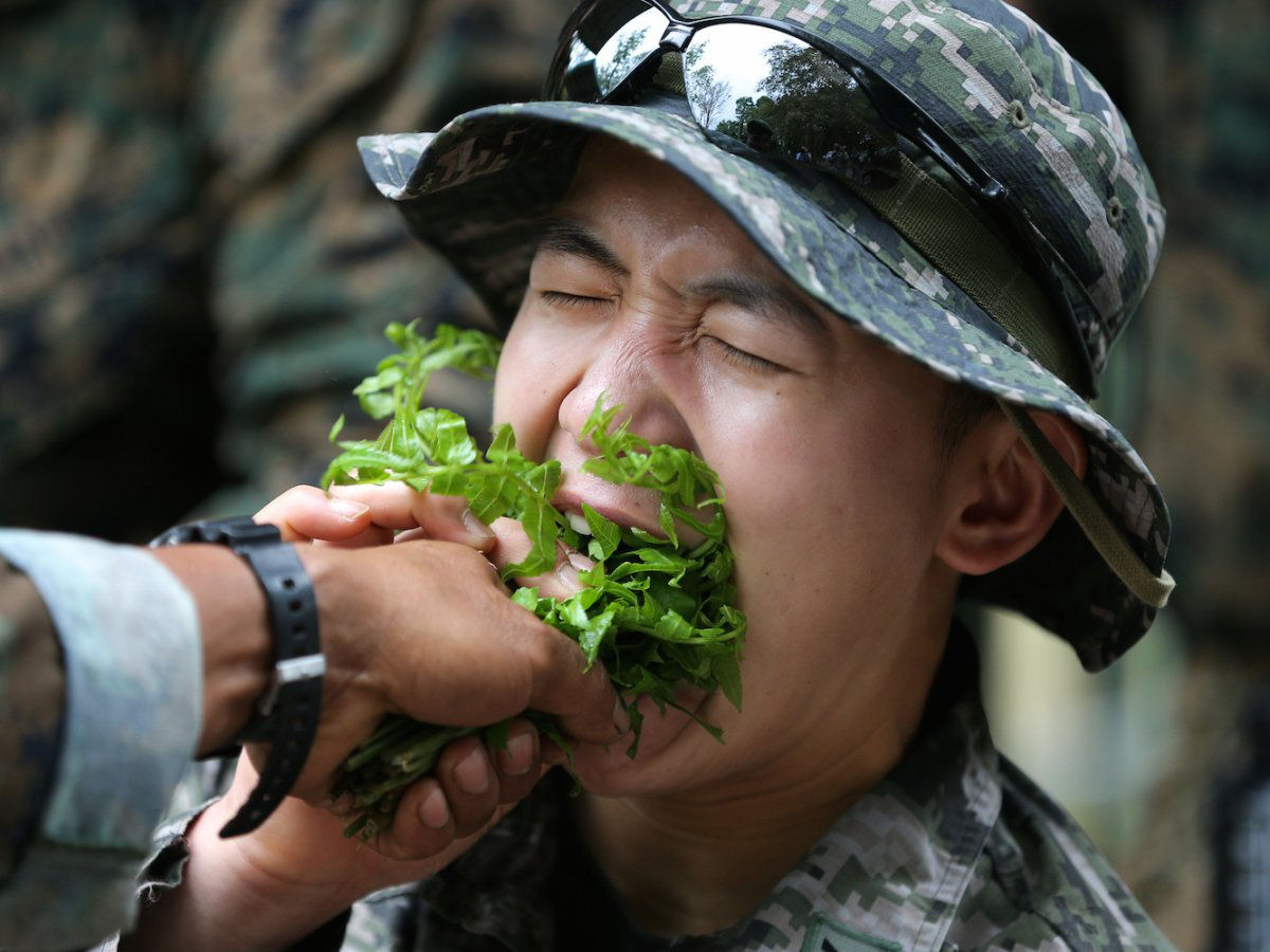 O insano treinamento militar em que os soldados bebem sangue de cobra e comem escorpies 18