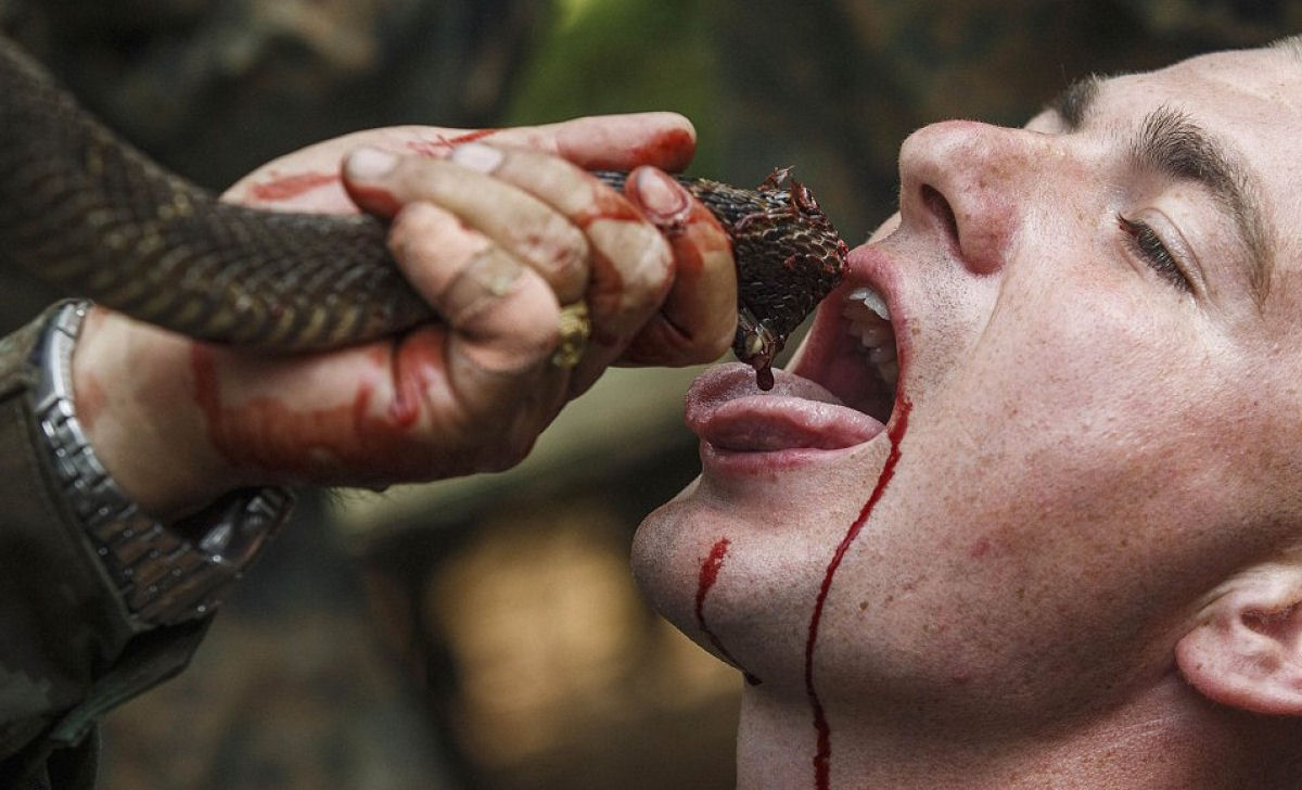 O insano treinamento militar em que os soldados bebem sangue de cobra e comem escorpies 19