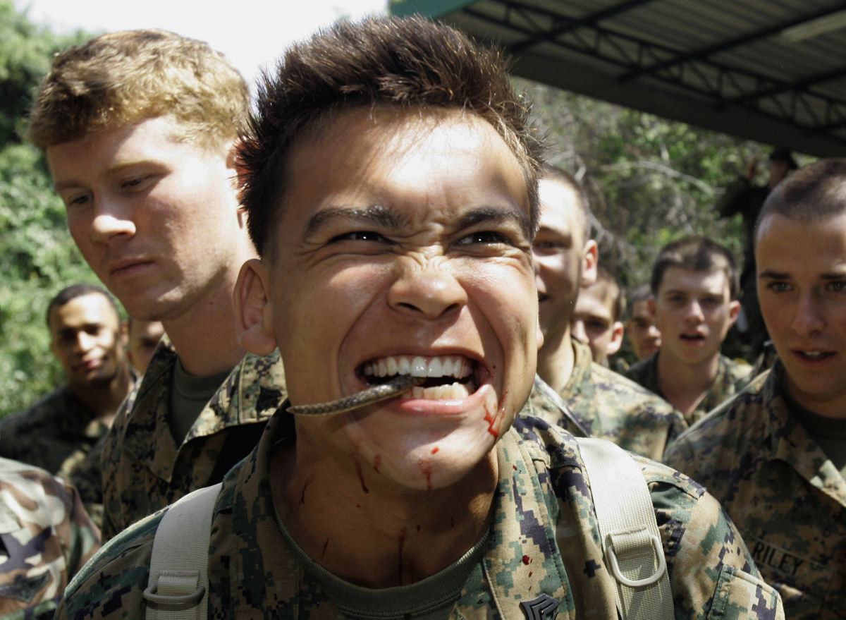O insano treinamento militar em que os soldados bebem sangue de cobra e comem escorpies 20