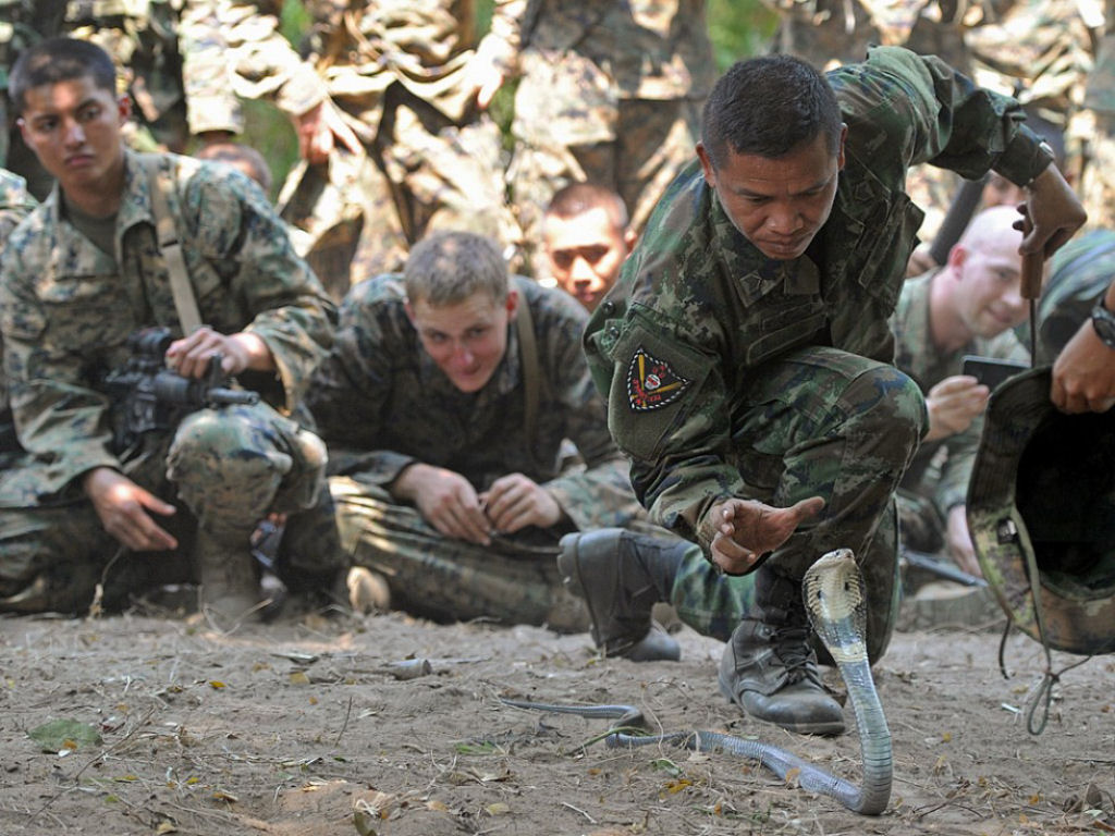 Cobra Gold 2013 - Militares sobrevivem com sangue de cobra na selva tailandesa 04