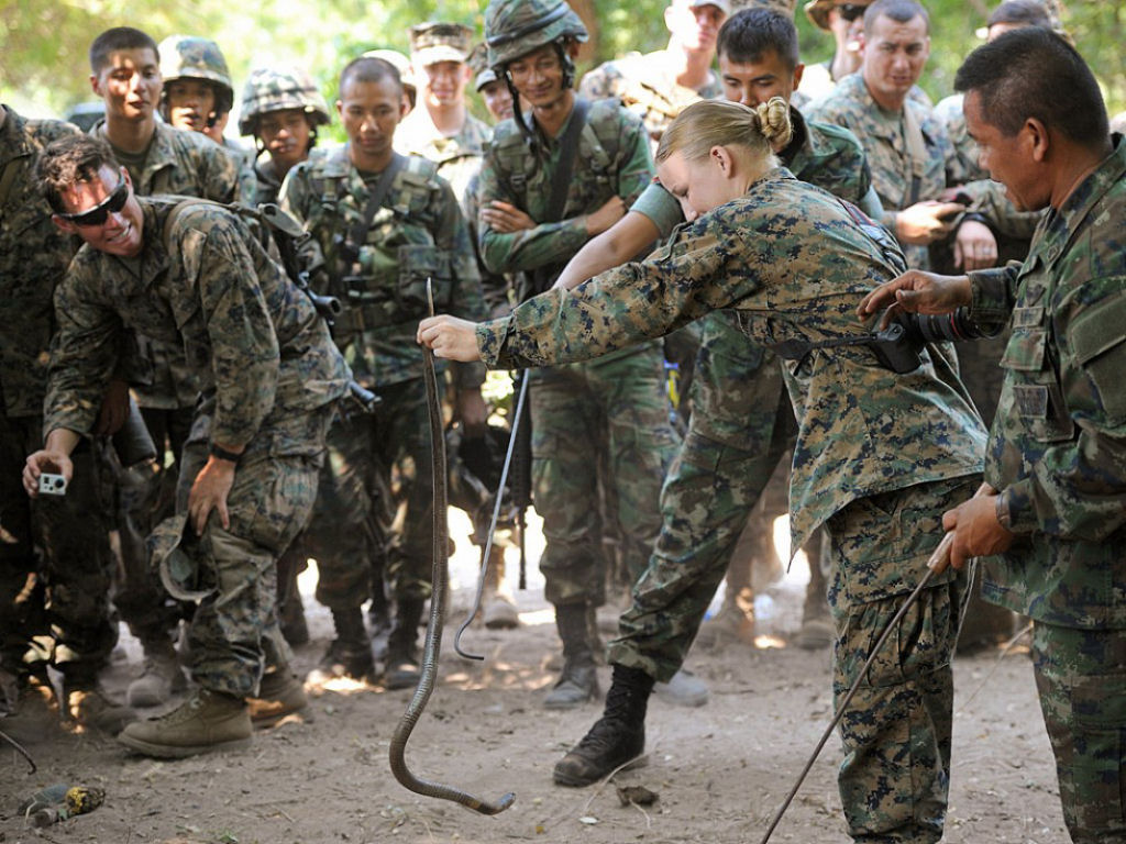 Cobra Gold 2013 - Militares sobrevivem com sangue de cobra na selva tailandesa 05