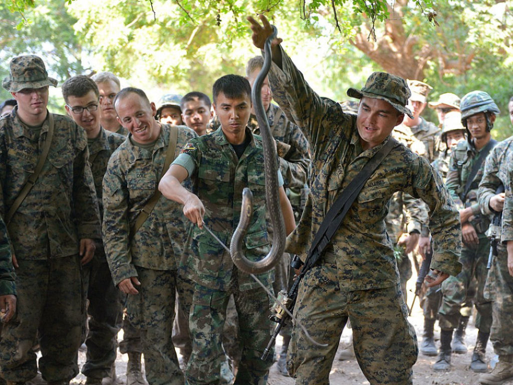 Cobra Gold 2013 - Militares sobrevivem com sangue de cobra na selva tailandesa 07