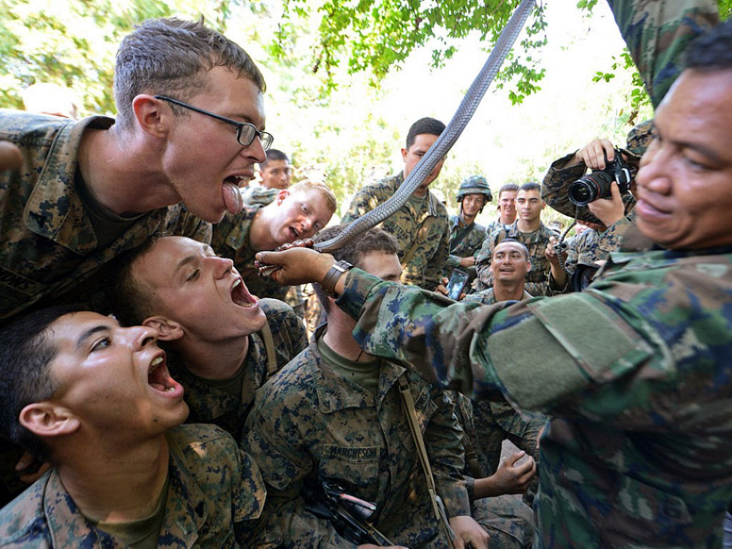 Cobra Gold 2013 - Militares sobrevivem com sangue de cobra na selva tailandesa 08