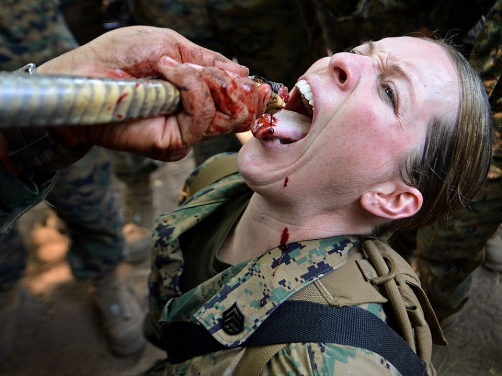 Cobra Gold 2013 - Militares sobrevivem com sangue de cobra na selva tailandesa 09