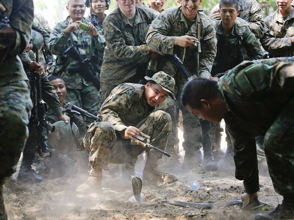 Cobra Gold 2013 - Militares sobrevivem com sangue de cobra na selva tailandesa 10