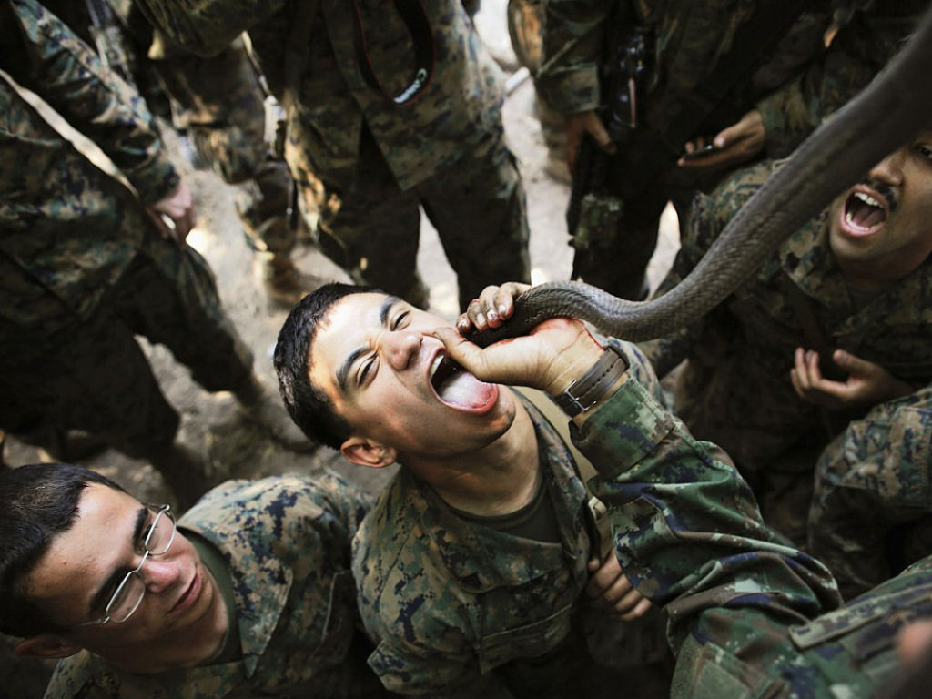 Cobra Gold 2013 - Militares sobrevivem com sangue de cobra na selva tailandesa 14