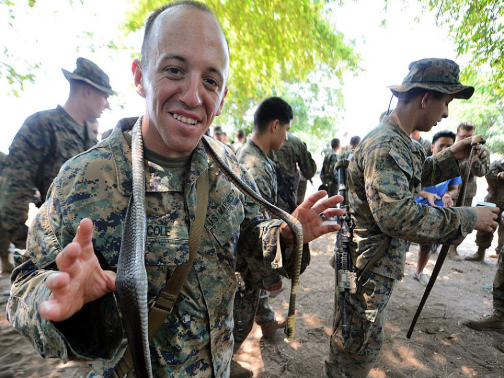 Cobra Gold 2013 - Militares sobrevivem com sangue de cobra na selva tailandesa 16