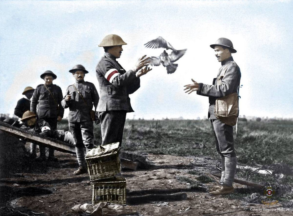 Fotos colorizadas trazem Primeira Guerra à vida 24