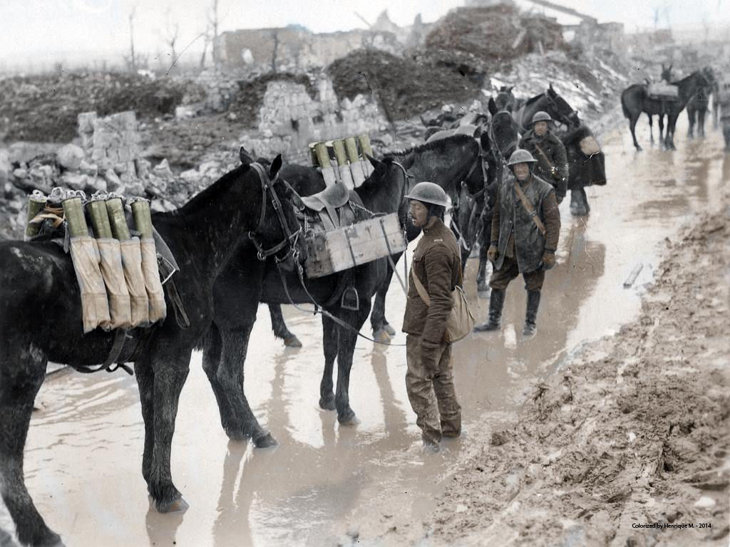 Fotos colorizadas trazem Primeira Guerra à vida 43