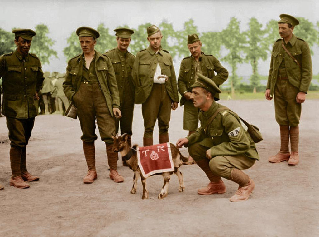 Fotos colorizadas trazem Primeira Guerra à vida 95