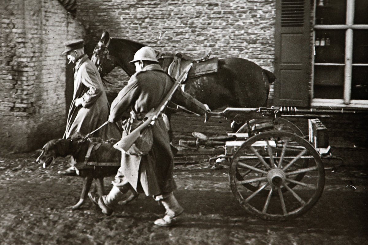 Fotos inéditas da Primeira Guerra Mundial 12