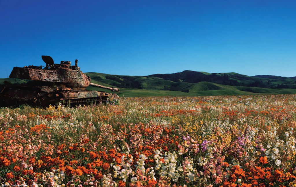 15 tanques devorados pela natureza como se nunca tivesse acontecido uma guerra 02